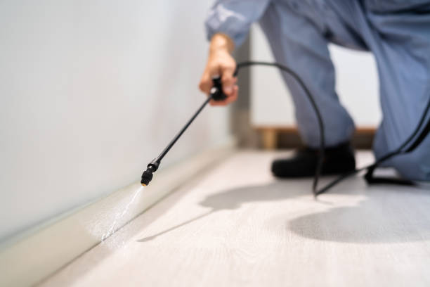 Licensed Cockroach Control service in Seville, FL - Nex Pest Control