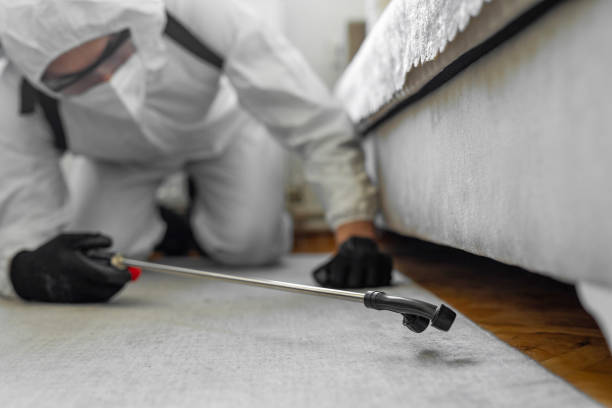 Professional Cockroach Control technician working in Seville, FL