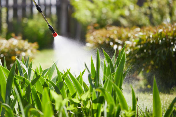 24/7 Emergency Cockroach Control experts in Seville, FL