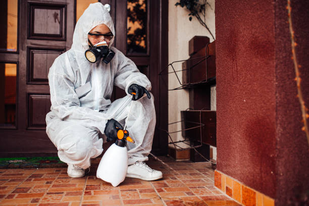 Reliable Cockroach Control contractor in Seville, FL by Nex Pest Control